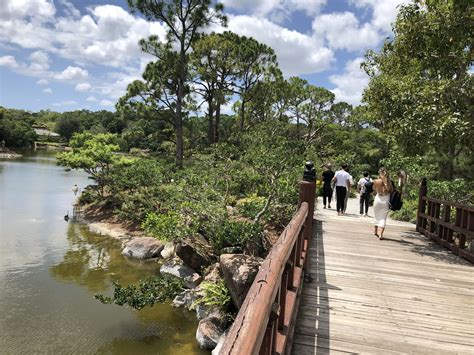 19 spectacular Florida botanical gardens: Where beauty lives