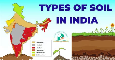 Types Of soil In India. What Are Different Types Of Soil In… | by Rahul ...