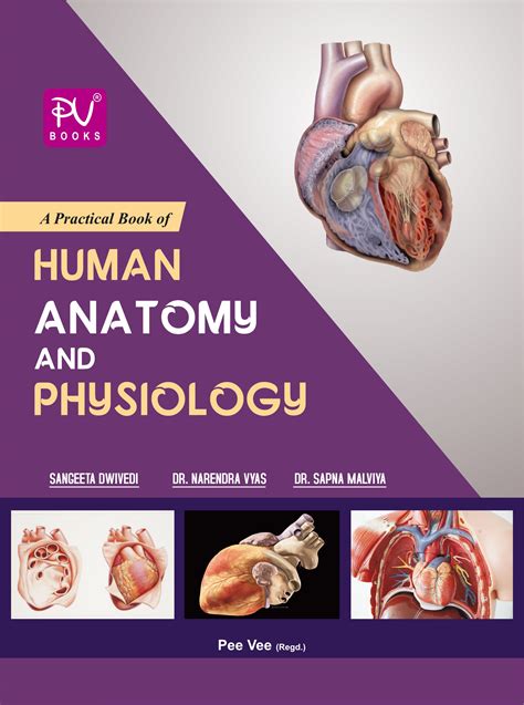 Human Anatomy Book For Mbbs : Mbbs 1st Year Anatomy Important Topics Medical Junction - Central ...
