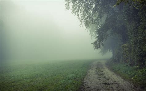 Foggy Field Wallpapers - Top Free Foggy Field Backgrounds - WallpaperAccess