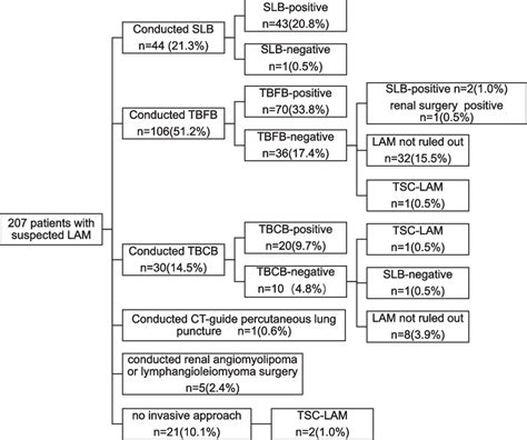 Diagnostic process for LAM; LAM, lymphangioleiomyomatosis; SLB,... | Download Scientific Diagram