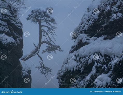 Fog on the Bastei Bridge in Winter, Saxon Switzerland National Park ...