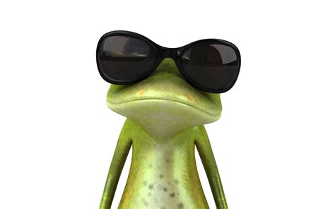 Cool Frog with Sunglasses HD Wallpaper ~ The Wallpaper Database