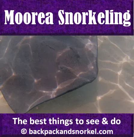 Backpack and Snorkel Travel Guide for the Three Best Snorkeling Spots in Moorea - Moorea Best ...