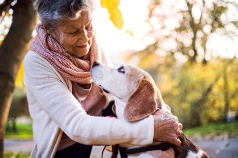 How Can Pets be Used in Therapy? | Focus Care