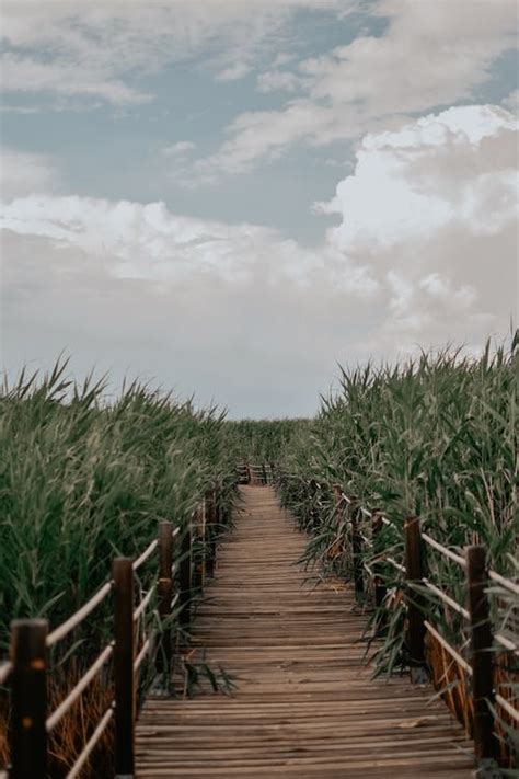 Brown Wooden Footbridge · Free Stock Photo