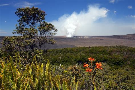 Hawaii Big Island Volcano Tour - Hawaii Volcanoes Park | Roberts Hawaii