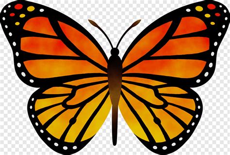 Monarch Butterfly Drawing, Silhouette, Web Design, Orange, Cartoon, Lepidoptera, Moths And ...