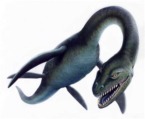 Elasmosaurus - Beast Wars Transformers Wiki