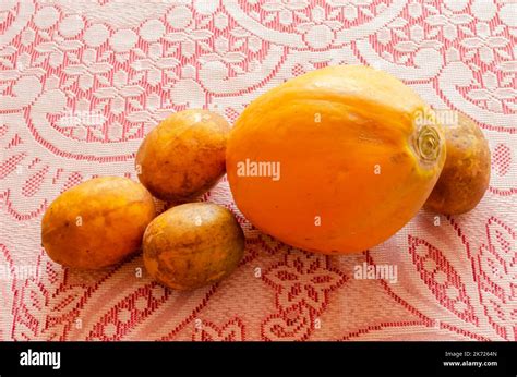 A papaya and three june plums are on a red and white lace tablecloth ...