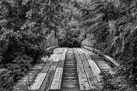 The Goatman's Bridge Photograph by JC Findley - Fine Art America