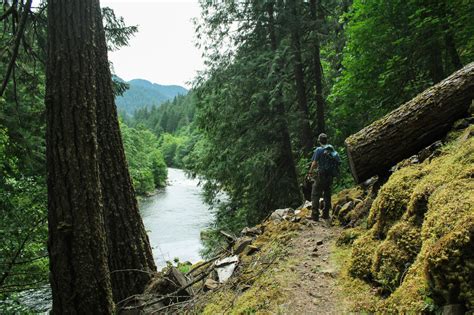 Clackamas River Trail - Outdoor Exploring