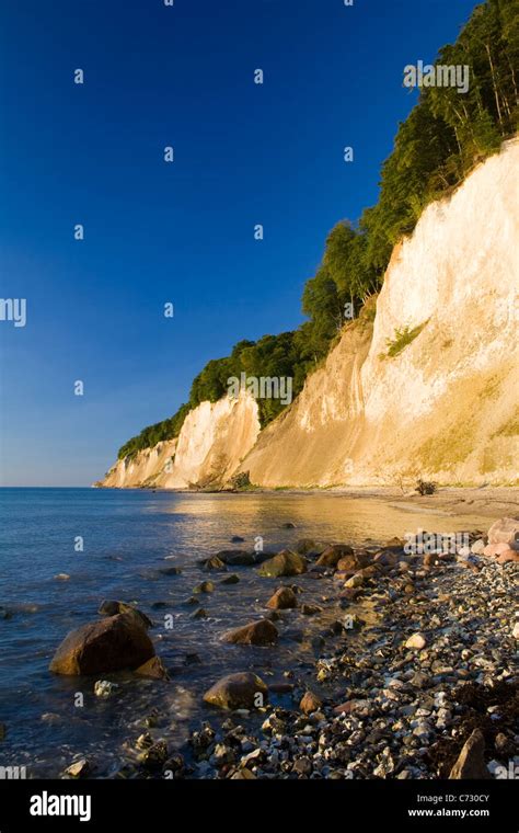 Chalk cliffs at sunrise in the Jasmund National Park, Ruegen Island ...