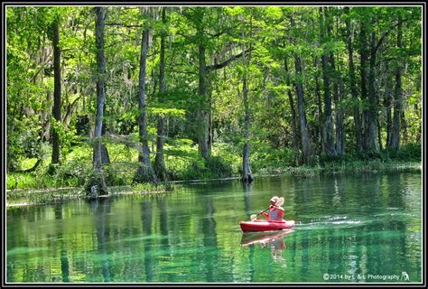 Ocala, Central Florida & Beyond: Three kayaking outings on the Rainbow River