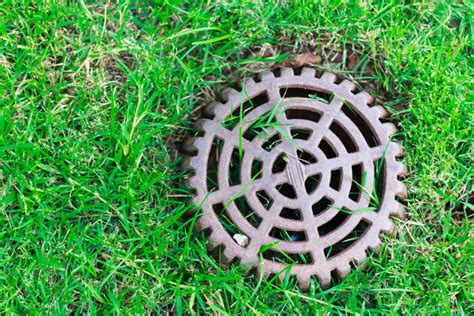 Do You Have A Drain Field Problem? Here Are The Signs - All Septic & Sewer - Puyallup, WA Septic ...