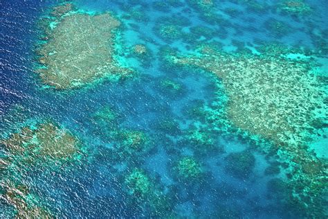 Aerial View Of The Great Barrier Reef Photograph by Miva Stock | Fine Art America