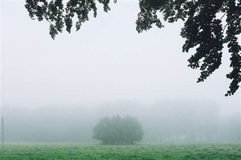 "Covered With Mist" by Stocksy Contributor "Robert-Paul Jansen" - Stocksy