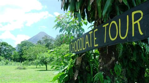 Rainforest Chocolate Tour - La Fortuna, Costa Rica