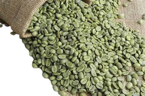 Green Coffee Beans Brand at Rs 180/kg | Kanchipuram | ID: 23397897962