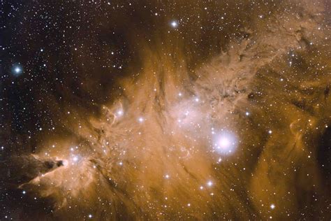 APOD: 2008 November 23 - In the Vicinity of the Cone Nebula