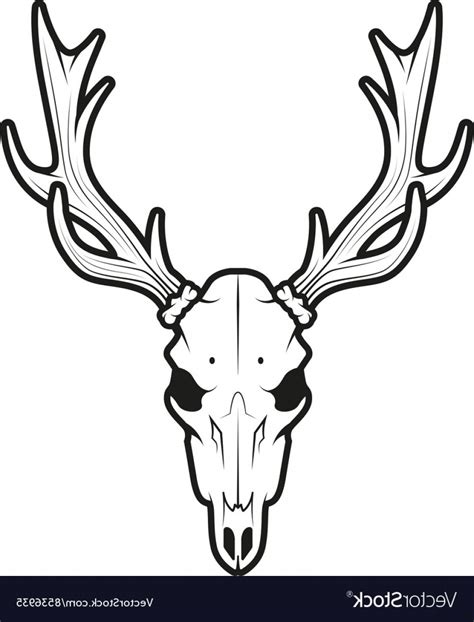 Elk Antler Vector at Vectorified.com | Collection of Elk Antler Vector free for personal use