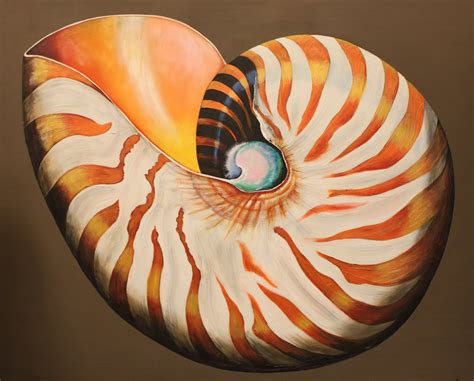 Sally Lee by the Sea Coastal Lifestyle Blog: Coastal Art: Bright & Beautiful Seashell Collection