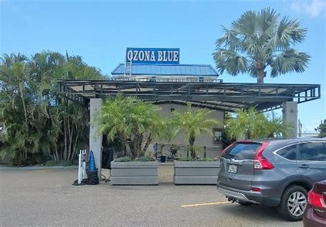 Entrance from parking lot - Picture of Ozona Blue, Palm Harbor - TripAdvisor