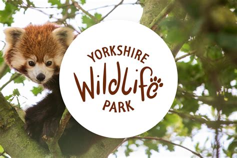 Attractions.io welcomes Yorkshire Wildlife Park! — Attractions.io Blog