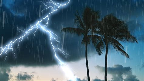 Tropical Thunderstorm Sounds for Sleep | Thunder & Rain White Noise ...