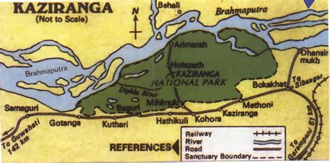 Kaziranga National Park Assam India- Home for One Horned Rhinoceros