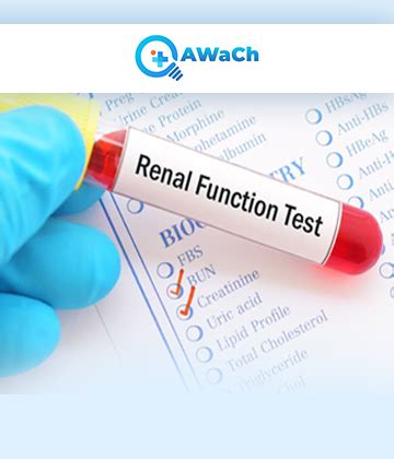 Kidney Function Test - Qawach Bio