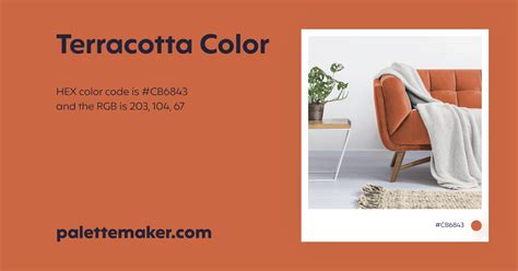 Terracotta Color - HEX #CB6843 Meaning and Live Previews - PaletteMaker