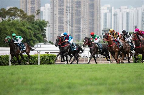 Hong Kong Horse Racing Live Stream - How to watch and bet on horse ...