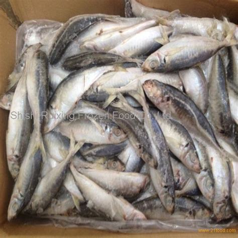 frozen scad mackerel fish decapterus maruadsi for bait,China Xiangruiyuan price supplier - 21food