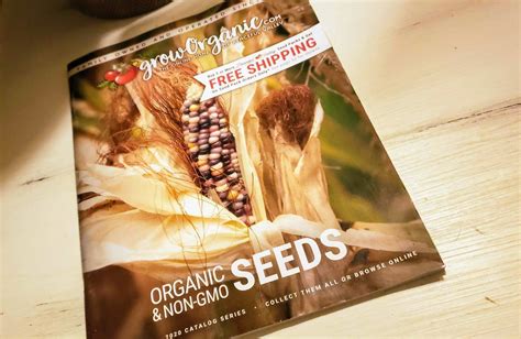 Great resources for your 2020 garden! | Heirloom seeds catalog, Heirloom seeds, Seed catalogs