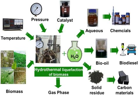 Liquefaction Biomass