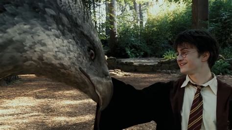 Buckbeak Had A Happy Ending The Harry Potter Films Never Showed ...