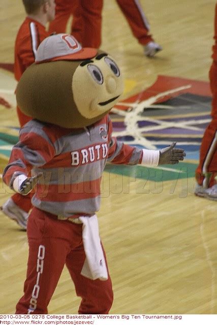 Brutus Buckeye , mascot Ohio State University Buckeyes Che… | Flickr