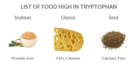 Foods High in Tryptophan