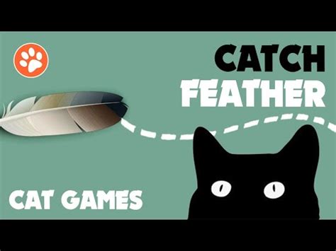 CAT GAMES ★ CATCH A FEATHER on the screen - YouTube