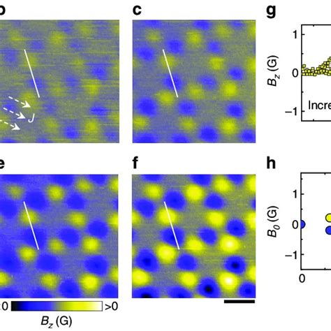 Vortex lattice evolution with magnetic field. a–f Vortex lattice ...