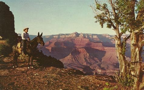 Vintage Travel Postcards: Grand Canyon National Park - Arizona