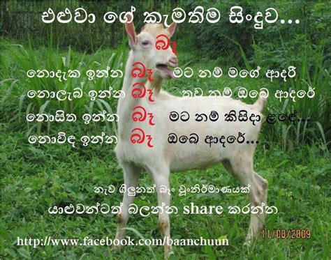 Lassana Vadan Wadan Sinhala - Sinhala Love Quotes Adara Wadan For Android Apk Download / Check ...