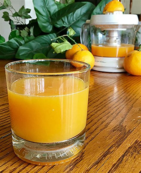 Fresh Orange Juice | Recipe | Orange juice recipes, Orange recipes ...