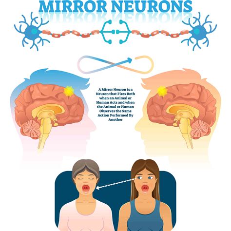 What Are Mirror Neurons, and How Do They Make Us More Empathetic?