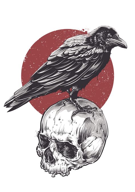 Raven on Skull 338376 Vector Art at Vecteezy