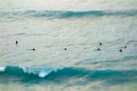 Surfing in Cornwall | Free Stock Image - Barnimages