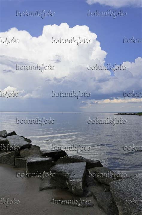 Image Thundery clouds and breakwater at Stettiner Haff, Germany - 571004 - Images of Plants and ...