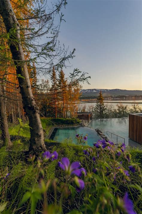 Iceland’s Blue Lagoon architects have designed a spectacular forest spa ...