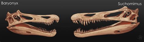 Baryonyx vs Suchomimus by DemonML on DeviantArt